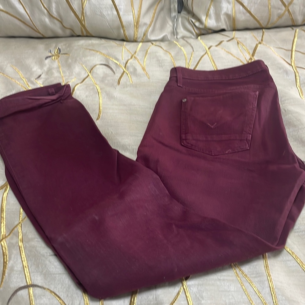 Hudson Jeans.  Byron Five pocket straight.  Size 32.